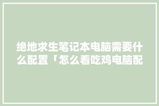 绝地求生笔记本电脑需要什么配置「怎么看吃鸡电脑配置高不高」