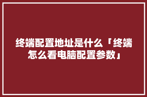 终端配置地址是什么「终端怎么看电脑配置参数」