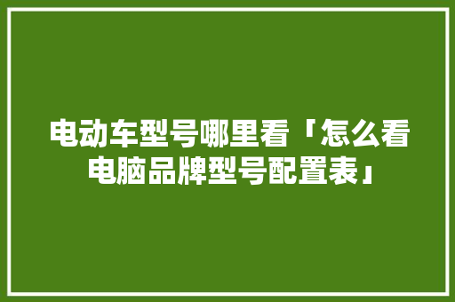 电动车型号哪里看「怎么看电脑品牌型号配置表」