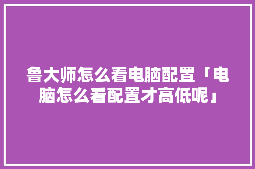 鲁大师怎么看电脑配置「电脑怎么看配置才高低呢」 鲁大师怎么看电脑配置「电脑怎么看配置才高低呢」 操作系统