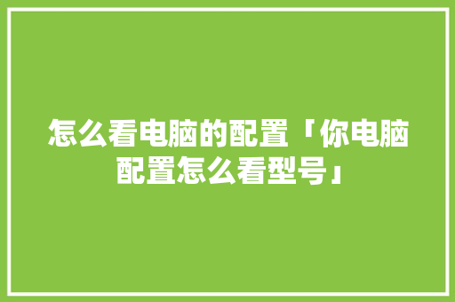 怎么看电脑的配置「你电脑配置怎么看型号」 怎么看电脑的配置「你电脑配置怎么看型号」 电脑基础
