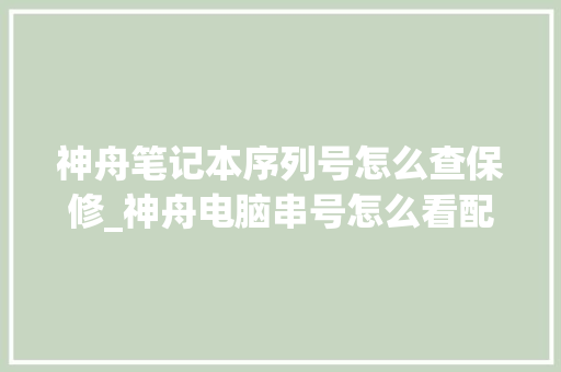 神舟笔记本序列号怎么查保修_神舟电脑串号怎么看配置参数