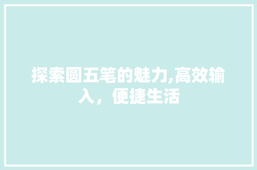 探索圆五笔的魅力,高效输入,便捷生活 网络技术 探索圆五笔的魅力,高效输入,便捷生活 网络技术