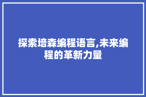 探索培森编程语言,未来编程的革新力量 电脑故障维修