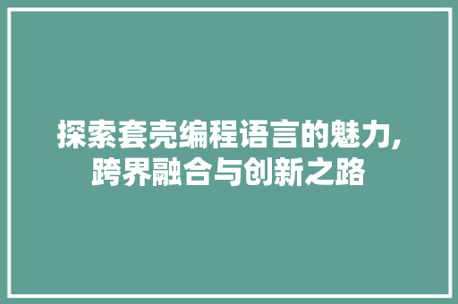 探索套壳编程语言的魅力,跨界融合与创新之路 电脑基础