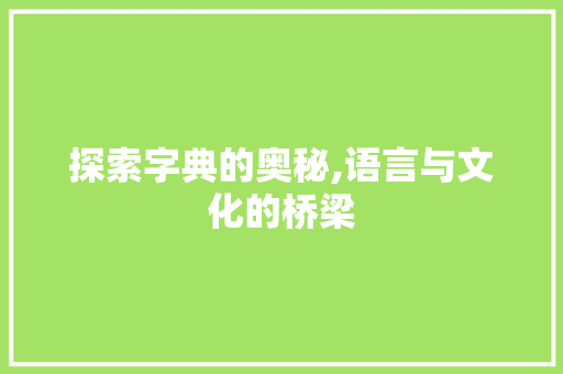 探索字典的奥秘,语言与文化的桥梁 电脑故障维修