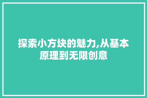 探索小方块的魅力,从基本原理到无限创意 电脑基础 探索小方块的魅力,从基本原理到无限创意 电脑基础