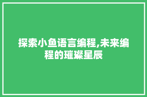 探索小鱼语言编程,未来编程的璀璨星辰 电脑基础