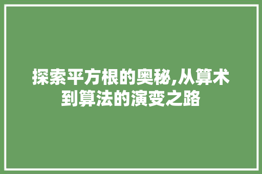 探索平方根的奥秘,从算术到算法的演变之路 操作系统