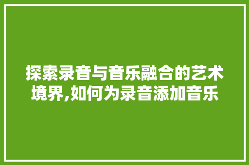 探索录音与音乐融合的艺术境界,如何为录音添加音乐 电脑基础
