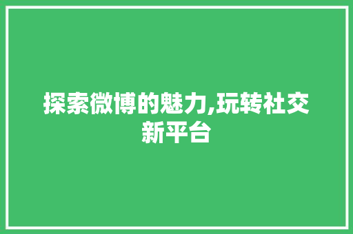 探索微博的魅力,玩转社交新平台 电脑故障维修