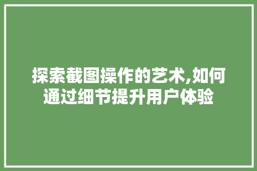 探索截图操作的艺术,如何通过细节提升用户体验 电脑配置 探索截图操作的艺术,如何通过细节提升用户体验 电脑配置