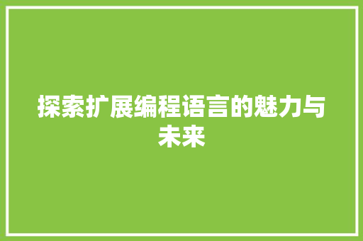 探索扩展编程语言的魅力与未来 电脑配置