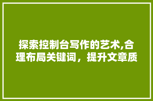 探索控制台写作的艺术,合理布局关键词，提升文章质量 编程语言