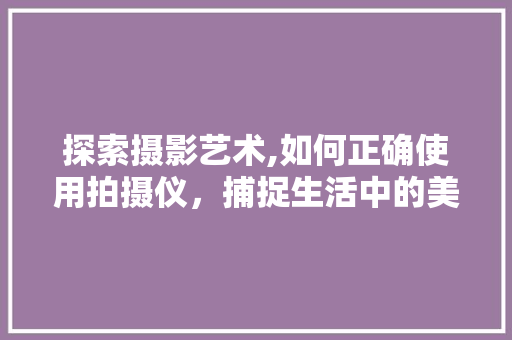 探索摄影艺术,如何正确使用拍摄仪，捕捉生活中的美好瞬间 操作系统