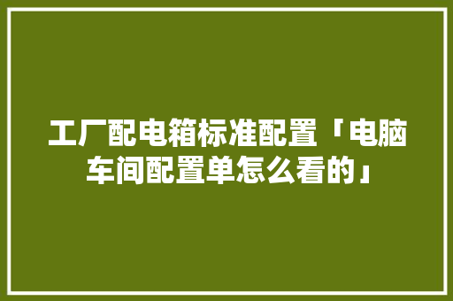 工厂配电箱标准配置「电脑车间配置单怎么看的」