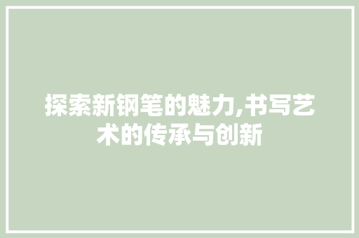 探索新钢笔的魅力,书写艺术的传承与创新 网络技术 探索新钢笔的魅力,书写艺术的传承与创新 网络技术