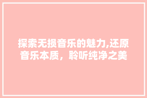 探索无损音乐的魅力,还原音乐本质，聆听纯净之美 操作系统