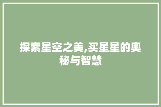 探索星空之美,买星星的奥秘与智慧 编程语言
