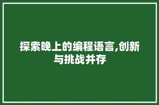 探索晚上的编程语言,创新与挑战并存 电脑故障维修