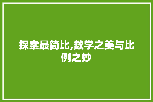 探索最简比,数学之美与比例之妙 电脑配置