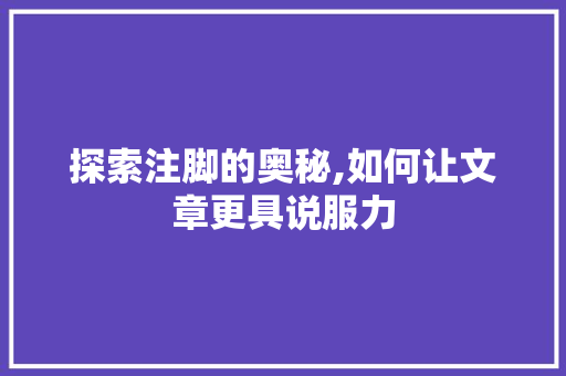 探索注脚的奥秘,如何让文章更具说服力 操作系统
