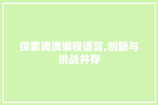 探索滴滴编程语言,创新与挑战并存 操作系统