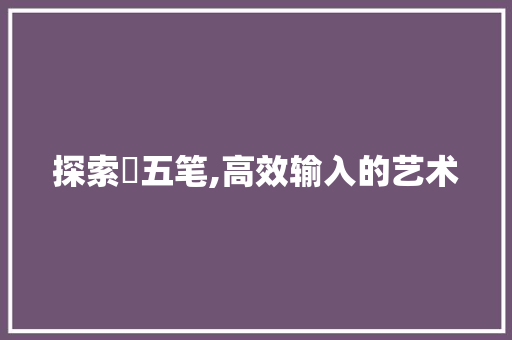 探索珅五笔,高效输入的艺术