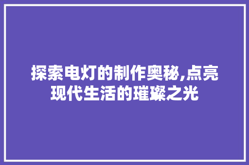 探索电灯的制作奥秘,点亮现代生活的璀璨之光 操作系统 探索电灯的制作奥秘,点亮现代生活的璀璨之光 操作系统