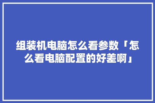 组装机电脑怎么看参数「怎么看电脑配置的好差啊」 组装机电脑怎么看参数「怎么看电脑配置的好差啊」 网络技术