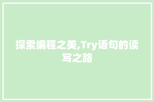 探索编程之美,Try语句的读写之路 电脑基础