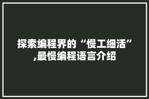 探索编程界的“慢工细活”,最慢编程语言介绍 网络技术