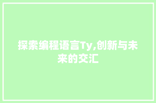 探索编程语言Ty,创新与未来的交汇 操作系统