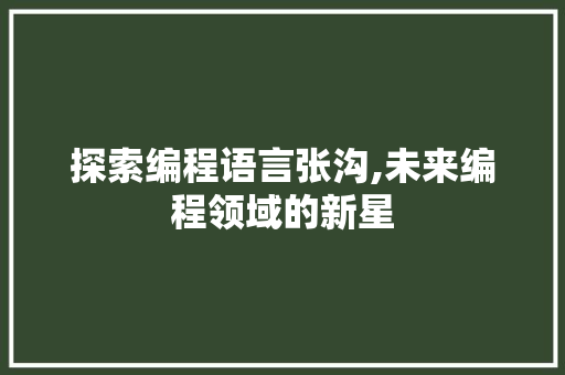 探索编程语言张沟,未来编程领域的新星 操作系统