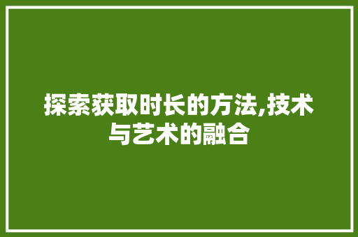 探索获取时长的方法,技术与艺术的融合 网络技术