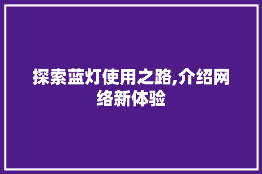 探索蓝灯使用之路,介绍网络新体验 网络技术