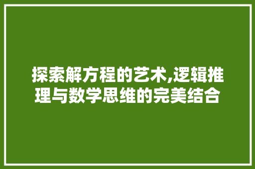探索解方程的艺术,逻辑推理与数学思维的完美结合 编程语言