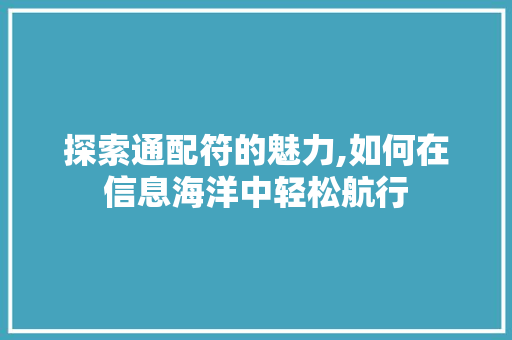 探索通配符的魅力,如何在信息海洋中轻松航行 网络技术