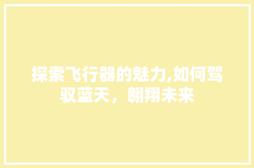探索飞行器的魅力,如何驾驭蓝天，翱翔未来
