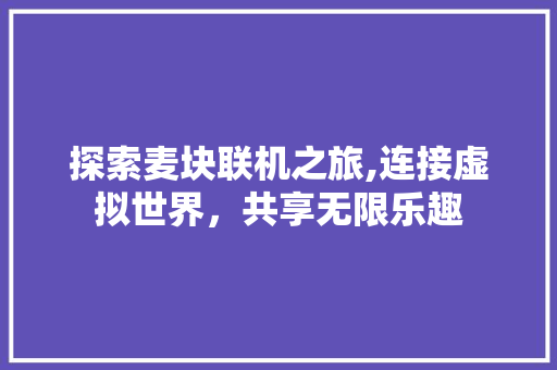 探索麦块联机之旅,连接虚拟世界，共享无限乐趣