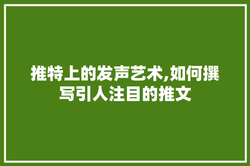 推特上的发声艺术,如何撰写引人注目的推文