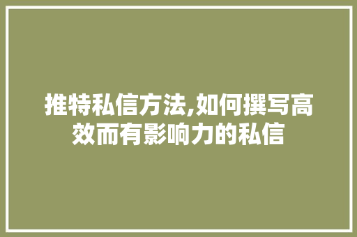推特私信方法,如何撰写高效而有影响力的私信