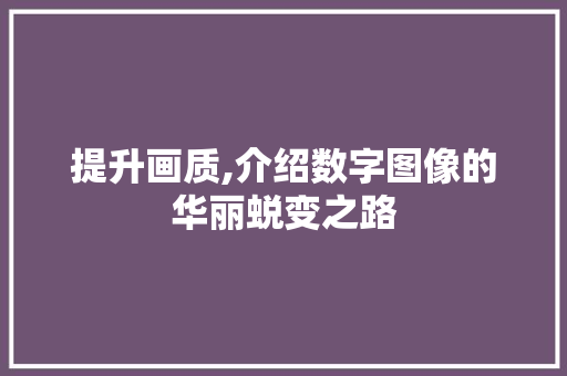 提升画质,介绍数字图像的华丽蜕变之路