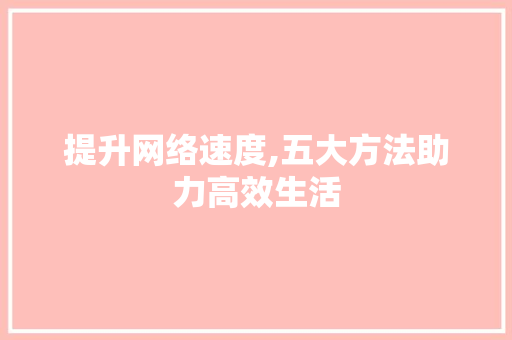 提升网络速度,五大方法助力高效生活
