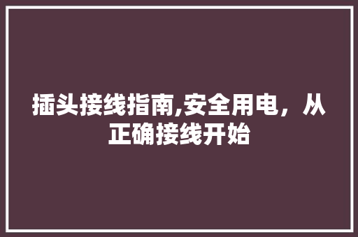插头接线指南,安全用电，从正确接线开始