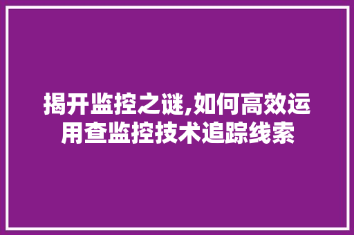 揭开监控之谜,如何高效运用查监控技术追踪线索
