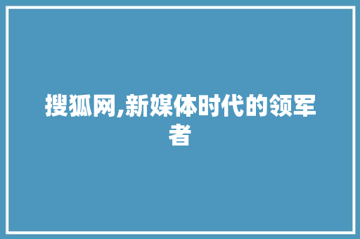 搜狐网,新媒体时代的领军者