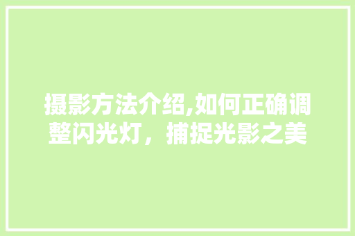 摄影方法介绍,如何正确调整闪光灯,捕捉光影之美 摄影方法介绍,如何正确调整闪光灯,捕捉光影之美