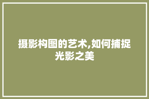 摄影构图的艺术,如何捕捉光影之美 摄影构图的艺术,如何捕捉光影之美