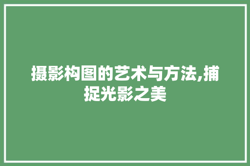 摄影构图的艺术与方法,捕捉光影之美
